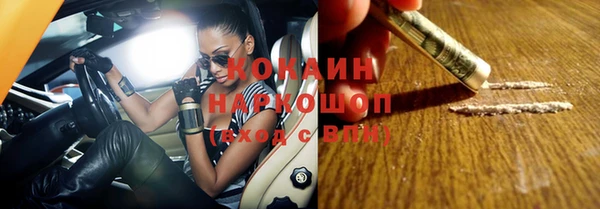 прущие грибы Куйбышев