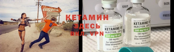 прущие грибы Куйбышев