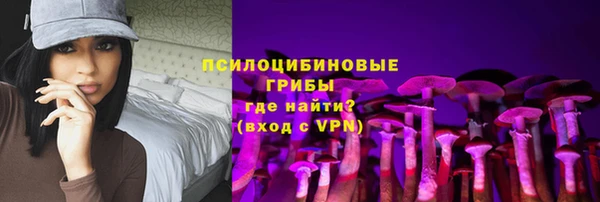 прущие грибы Куйбышев