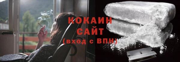 прущие грибы Куйбышев