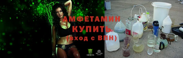 прущие грибы Куйбышев
