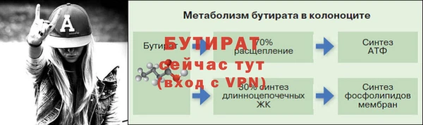 прущие грибы Куйбышев