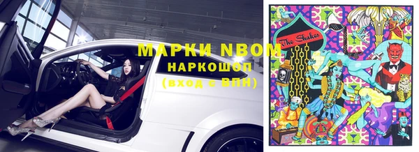 прущие грибы Куйбышев