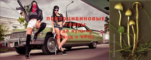 прущие грибы Куйбышев