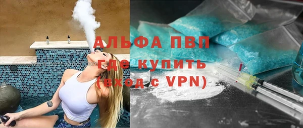 прущие грибы Куйбышев