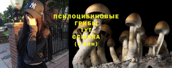 MESCALINE Кулебаки