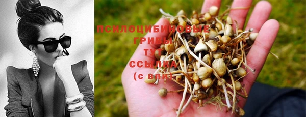 MESCALINE Кулебаки