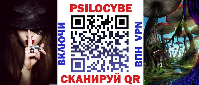 закладки  Щигры  Псилоцибиновые грибы Psilocybe 